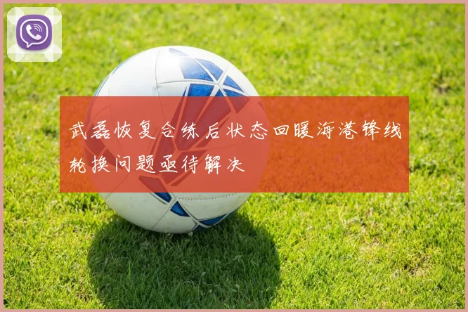 武磊恢复合练后状态回暖海港锋线轮换问题亟待解决